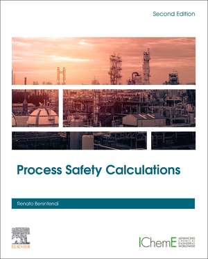 Process Safety Calculations de Renato Benintendi