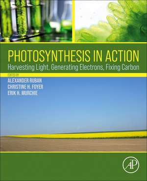 Photosynthesis in Action: Harvesting Light, Generating Electrons, Fixing Carbon de Alexander Ruban