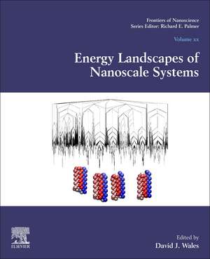 Energy Landscapes of Nanoscale Systems de David J. Wales