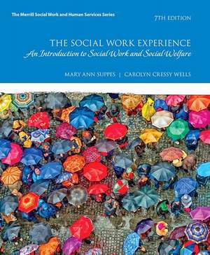 The Social Work Experience de Mary Ann Suppes