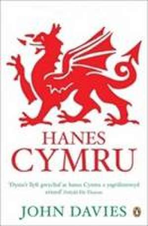 Hanes Cymru (A History of Wales in Welsh) de John Davies