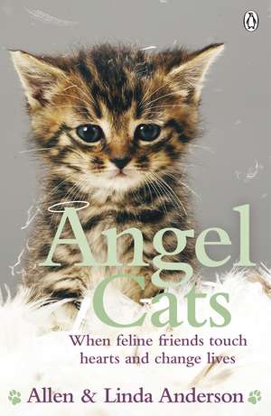 Angel Cats: When feline friends touch hearts and change lives de Allen Anderson