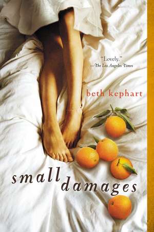 Small Damages de Beth Kephart