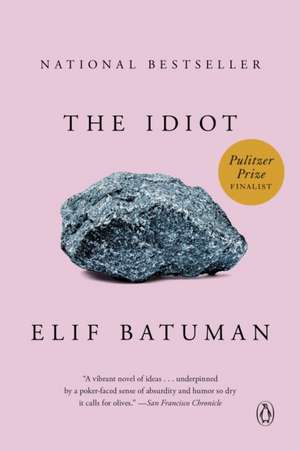 The Idiot de Elif Batuman