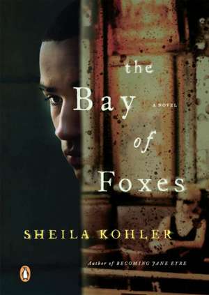 The Bay of Foxes de Sheila Kohler