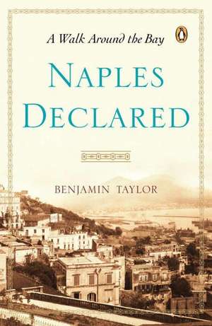 Naples Declared: A Walk Around the Bay de Benjamin Taylor