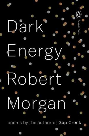 Dark Energy de Robert Morgan