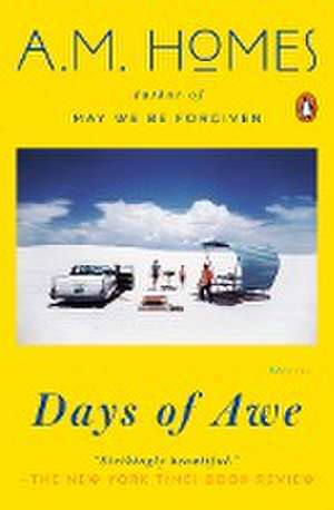 Days of Awe de Am Homes