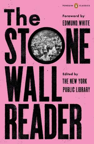 The Stonewall Reader de Jason Baumann