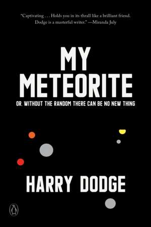 My Meteorite de Harry Dodge