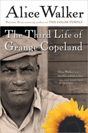 The Third Life of Grange Copeland de Alice Walker