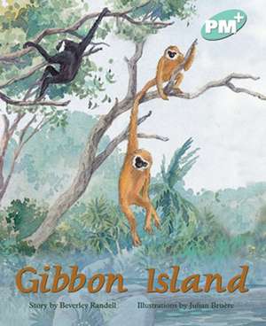 Gibbon Island PM PLUS Level 18 Turquoise de Beverley Randell