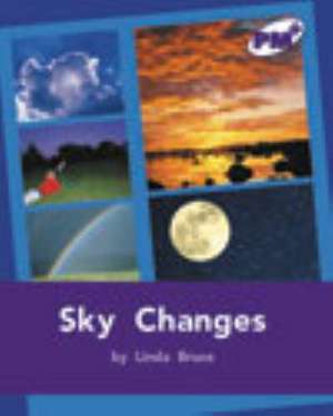 Sky Changes PM PLUS Non Fiction Level 20&21 Movement and Grace Purple de Linda Bruce