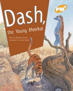 Dash The Young Meerkat PM PLUS Level 21 Gold de VARIOUS