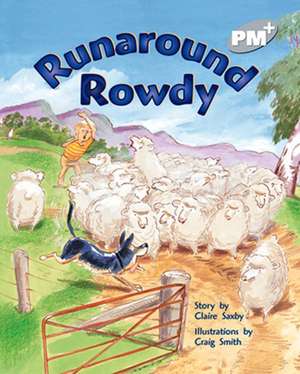 Runaround Rowdy PM PLUS Level 24 Silver de Claire Saxby