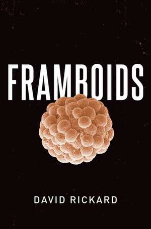 Framboids de David Rickard