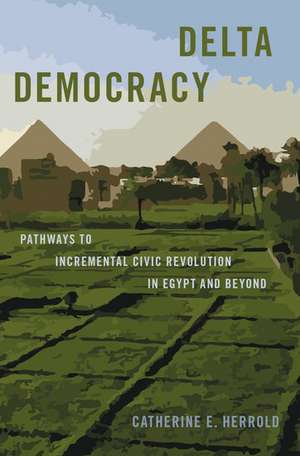 Delta Democracy: Pathways to Incremental Civic Revolution in Egypt and Beyond de Catherine E. Herrold