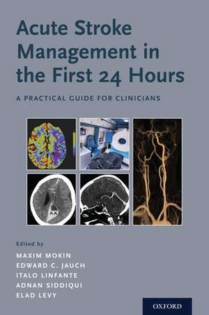 Acute Stroke Management in the First 24 Hours: A Practical Guide for Clinicians de Maxim Mokin