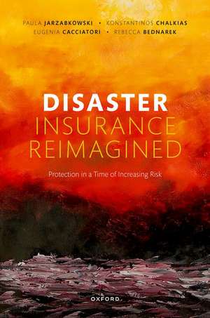 Disaster Insurance Reimagined: Protection in a Time of Increasing Risk de Paula Jarzabkowski