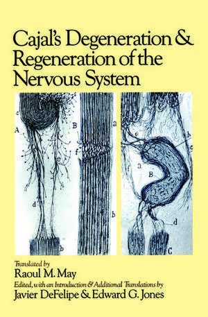 Cajal's Degeneration and Regeneration of the Nervous System de Santiago Ramon y. Cajal