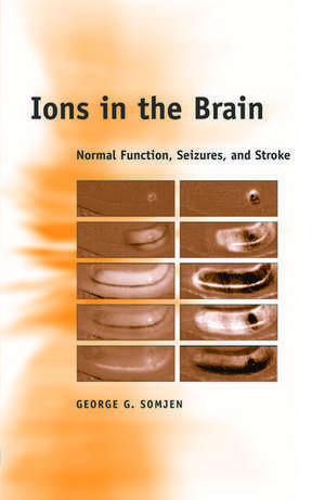 Ions in the Brain: Normal Function, Seizures, and Stroke de George G. Somjen