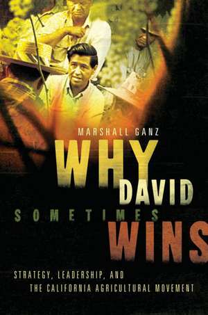 Why David Sometimes Wins: Leadership, Strategy and the Organization in the California Farm Worker Movement de Marshall Ganz