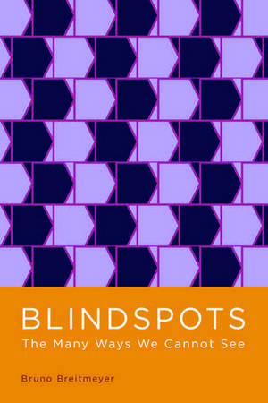 Blindspots: The Many Ways We Cannot See de Bruno Breitmeyer