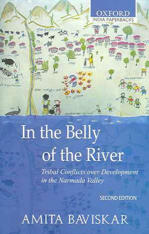 In the Belly of the River: Tribal Conflicts over Development in the Narmada Valley de Amita Baviskar