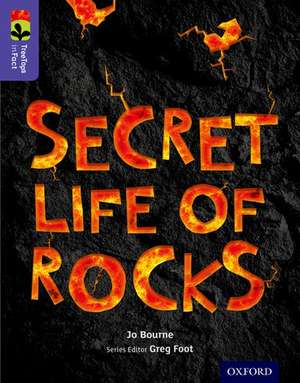 Oxford Reading Tree TreeTops inFact: Level 11: Secret Life of Rocks de Jo Bourne