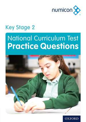 Numicon: Key Stage 2 National Curriculum Test Practice Questions de Adella Osborne