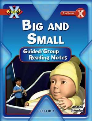 Project X: Big and Small: Teaching Notes de Amanda Snowden