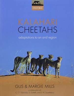 Kalahari Cheetahs: Adaptations to an arid region de Gus Mills