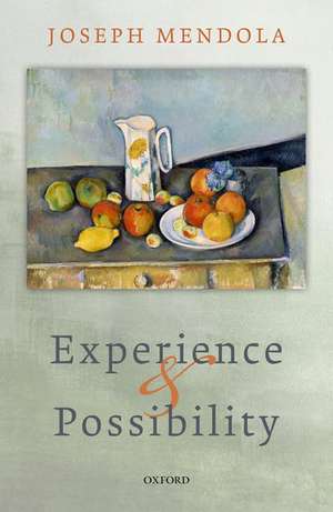 Experience and Possibility de Joseph Mendola