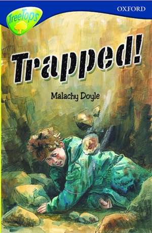 Oxford Reading Tree: Level 14: TreeTops Fiction, More Stories A: Pack (6 books, 1 of each title) de Malachy Doyle