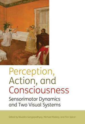 Perception, action, and consciousness: Sensorimotor Dynamics and Two Visual Systems de Nivedita Gangopadhyay