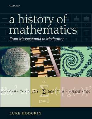 A History of Mathematics: From Mesopotamia to Modernity de Luke Hodgkin