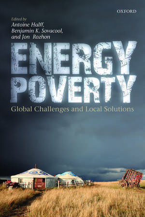 Energy Poverty: Global Challenges and Local Solutions de Antoine Halff