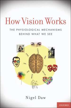 How Vision Works: The Physiological Mechanisms Behind What We See de Nigel Daw