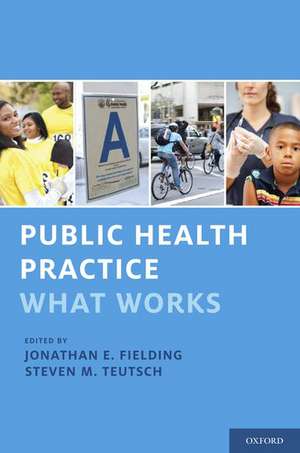 Public Health Practice: What Works de Jonathan E. Fielding