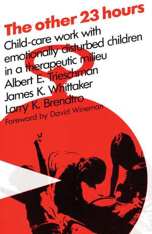 The Other 23 Hours: Child Care Work with Emotionally Disturbed Children in a Therapeutic Milieu de Albert E Trieschman