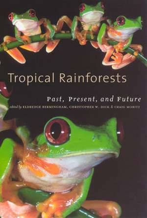 Tropical Rainforests: Past, Present, and Future de Eldredge Bermingham