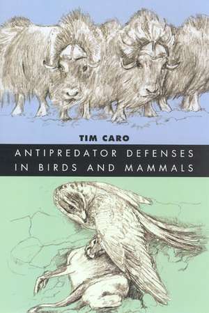 Antipredator Defenses in Birds and Mammals de Tim Caro