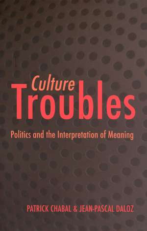 Culture Troubles: Politics and the Interpretation of Meaning de Patrick Chabal