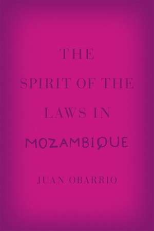 The Spirit of the Laws in Mozambique de Juan Obarrio