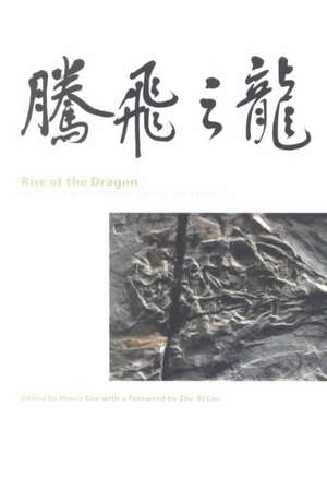 Rise of the Dragon: Readings from Nature on the Chinese Fossil Record de Henry Gee