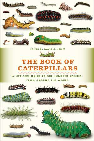 The Book of Caterpillars: A Life-Size Guide to Six Hundred Species from around the World de David G. James