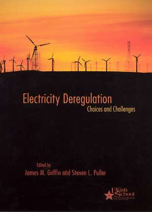 Electricity Deregulation: Choices and Challenges de James M. Griffin