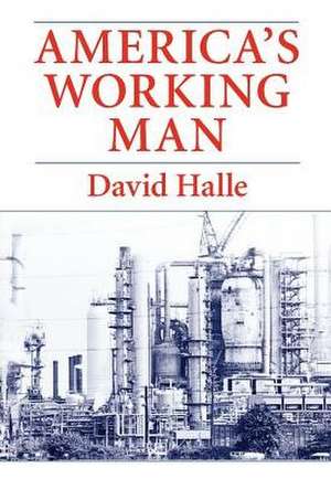 America's Working Man: Work, Home, and Politics Among Blue Collar Property Owners de David Halle