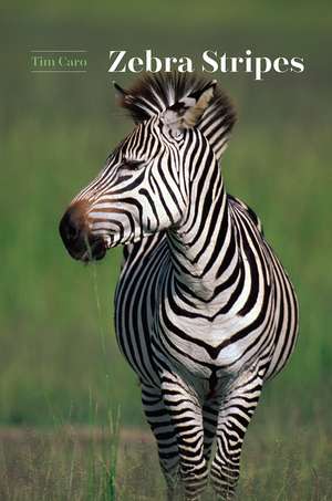 Zebra Stripes de Tim Caro