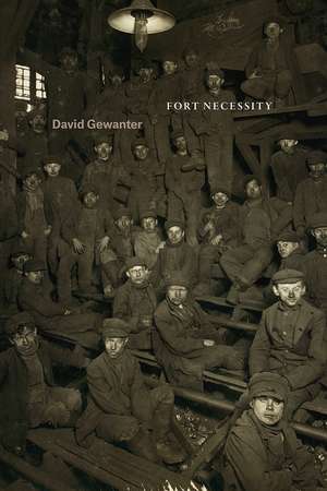 Fort Necessity de David Gewanter